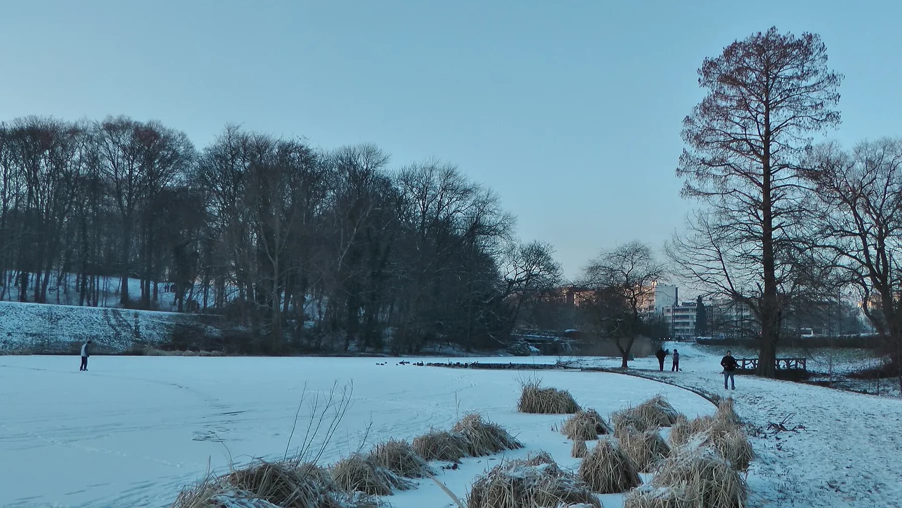 Le parc de Woluwe en hiver