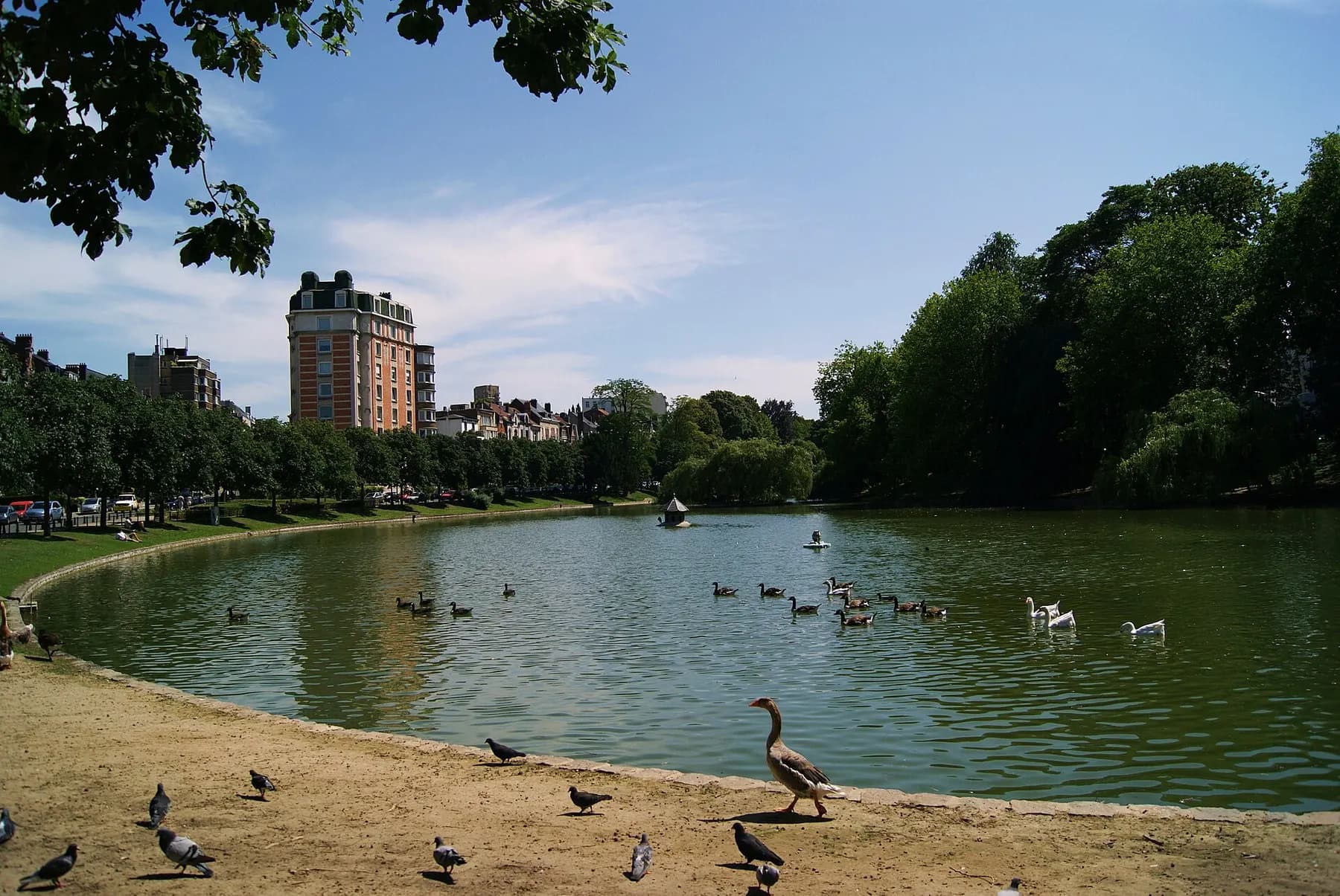 Les étangs d'Ixelles